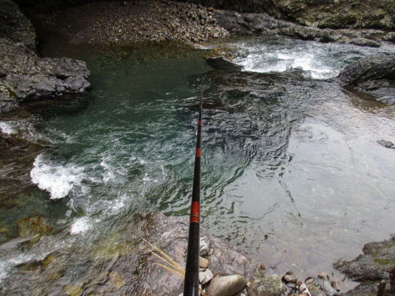 13060e78.jpg