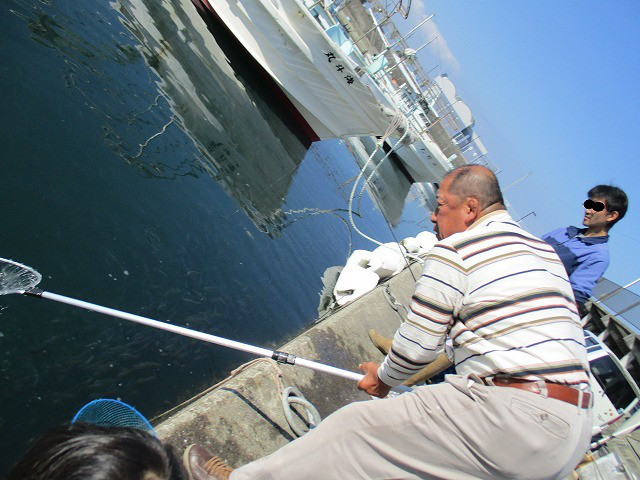 13c7b54c.jpg