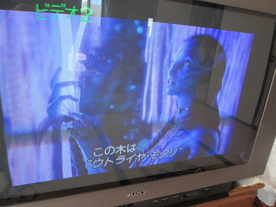 13db86a6.jpg