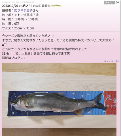 Screenshot_20231027-131411