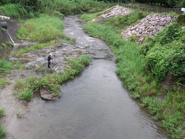 165e593d.jpg