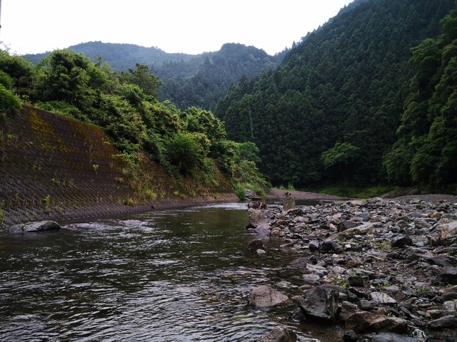 IMG_20200614_170108