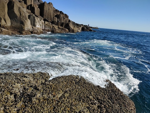 20211128_123145_HDR