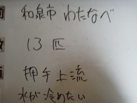 KC4B0016