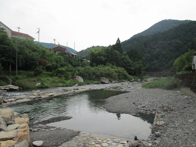 1a845a64.jpg