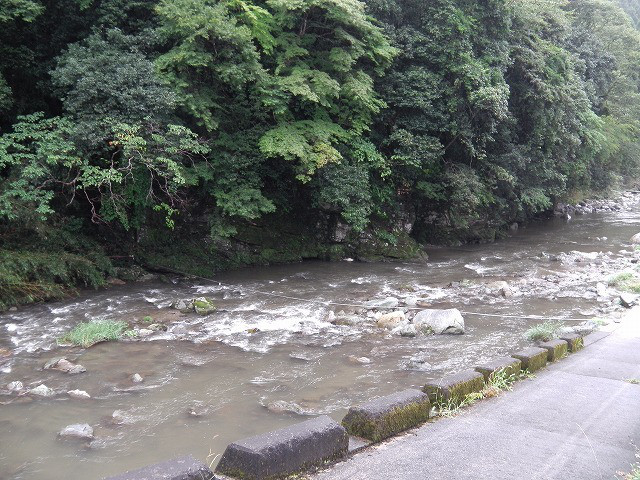 1a97d1ae.jpg