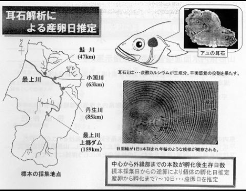 キャプチャd