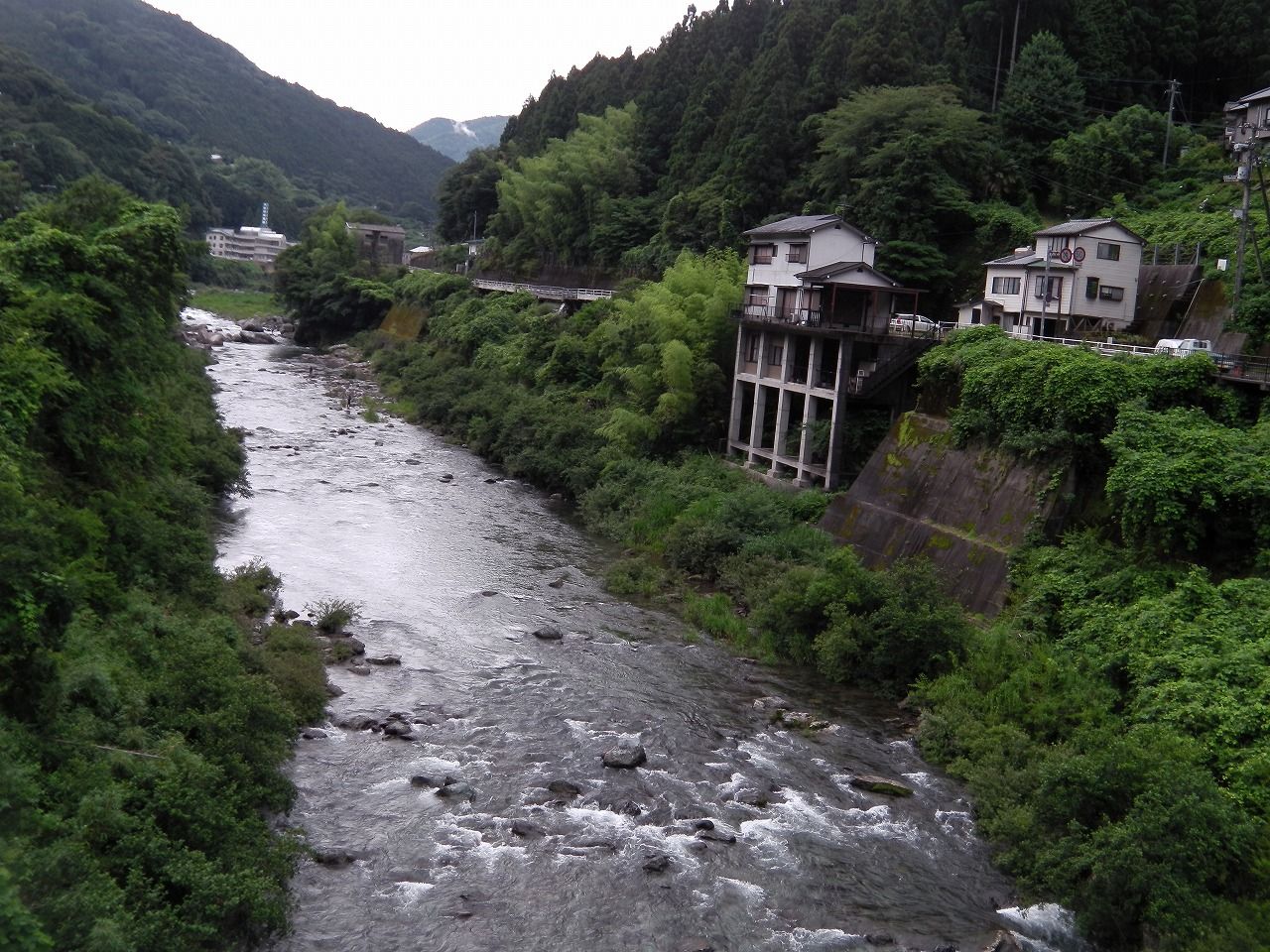 ☘️【希少・送料無料・匿名配送】 四国の川釣り アユ アマゴ 四万十川 吉野川 女鮎釣り師KUU 吉野川（徳島）の支流穴内川で23センチを