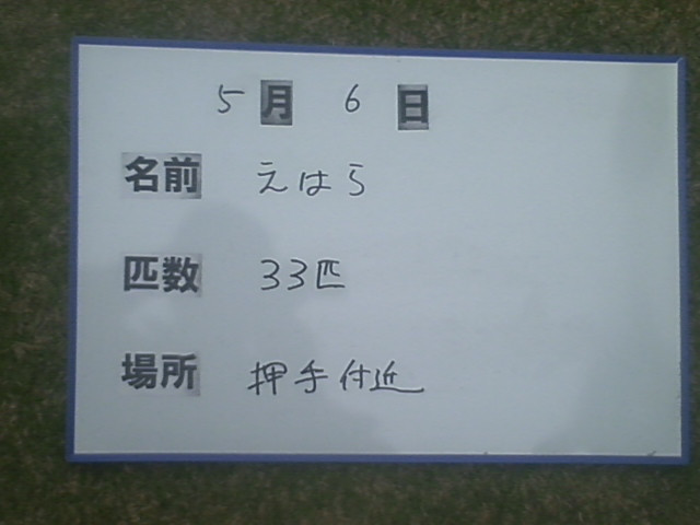 1c27e436.jpg