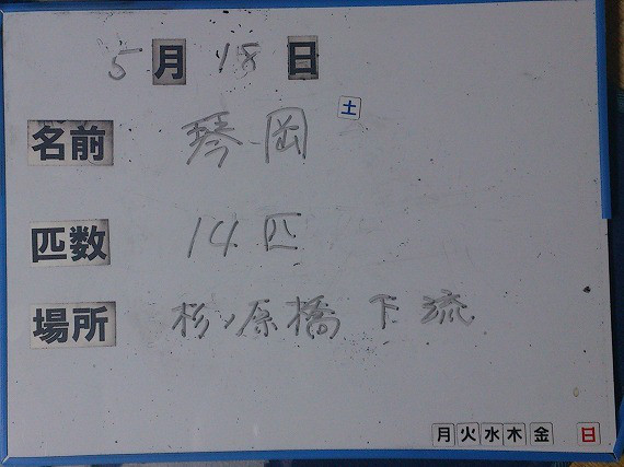 1c50826b.jpg