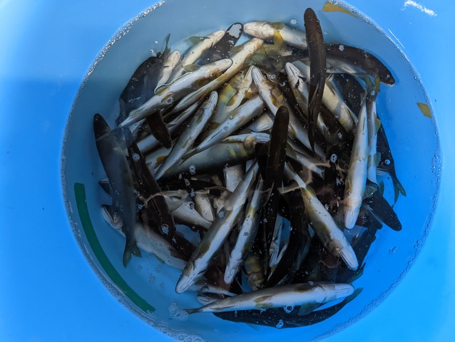 PXL_20220528_055308580