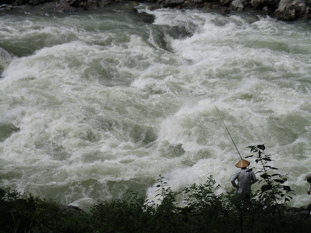 1f8b4282.jpg
