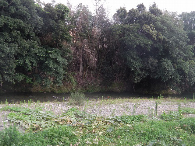 225d9b4b.jpg