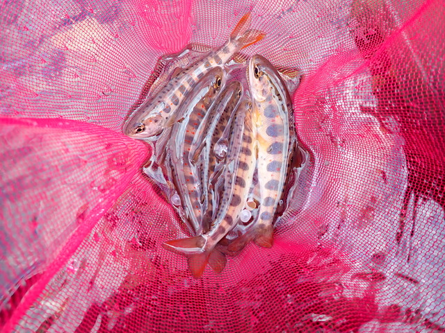 P3201541