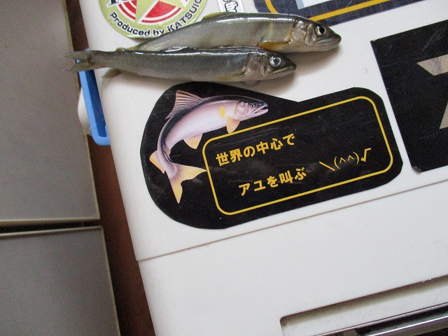 244efcc9.jpg