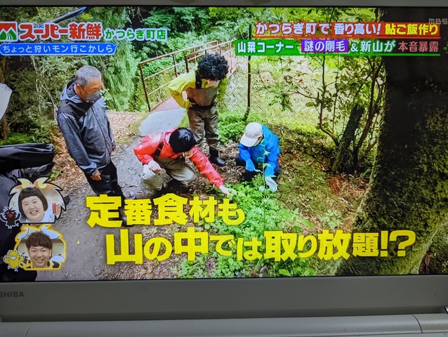 PXL_20220705_110318545
