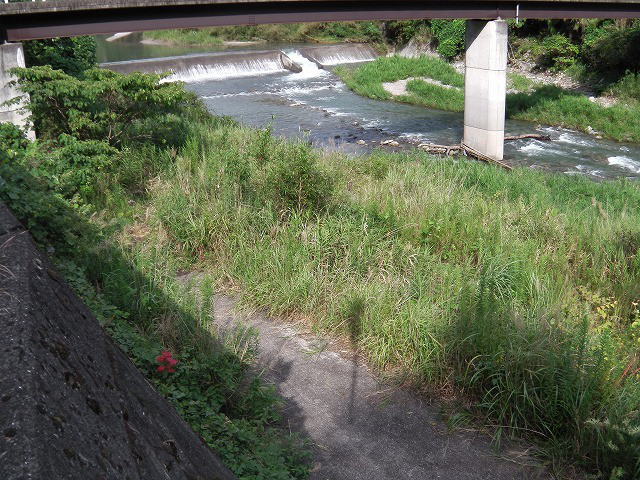 26a6cf4b.jpg