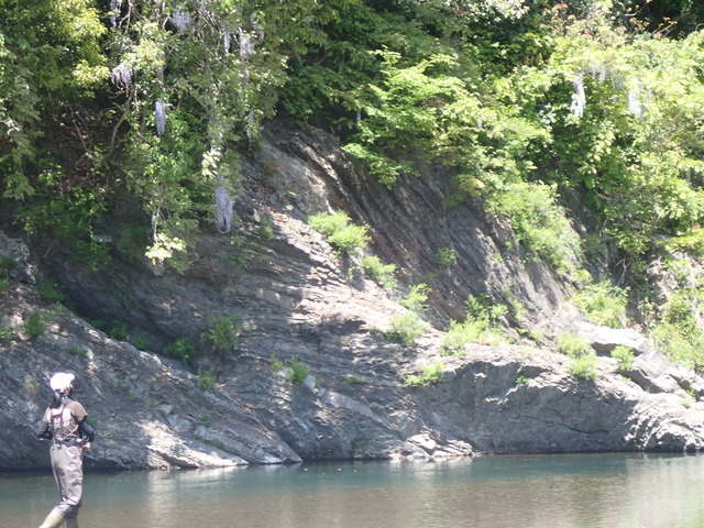 P4262248