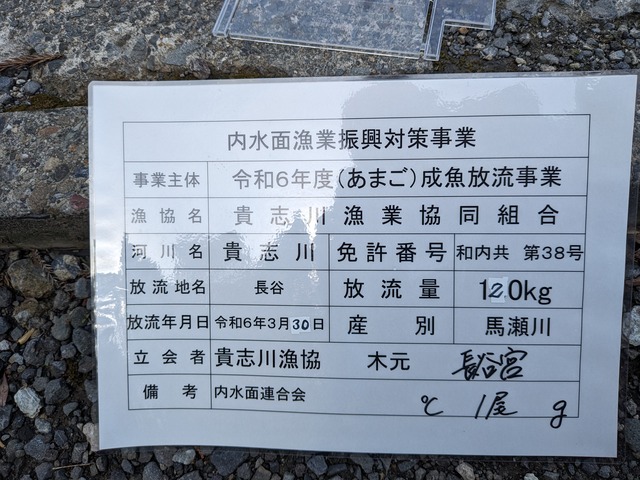 PXL_20240330_014502239.MP