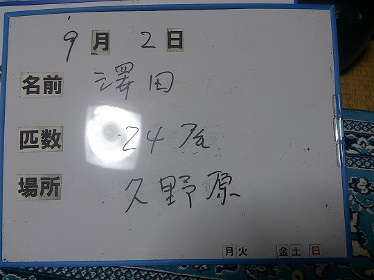 293e5308.jpg