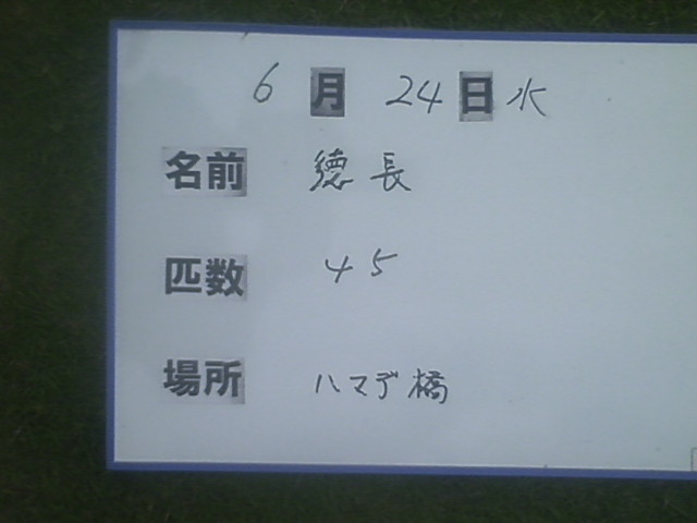 2c8aaf49.jpg