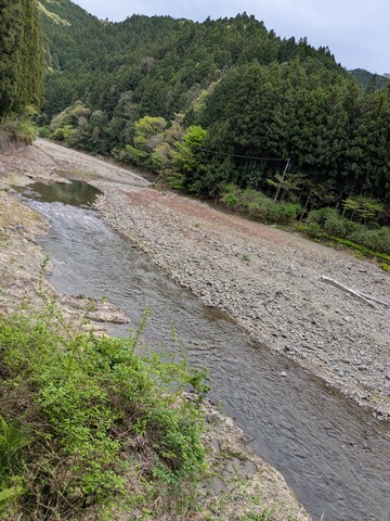 PXL_20260422_014621952.MP