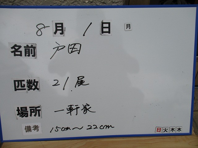 2e01a361.jpg