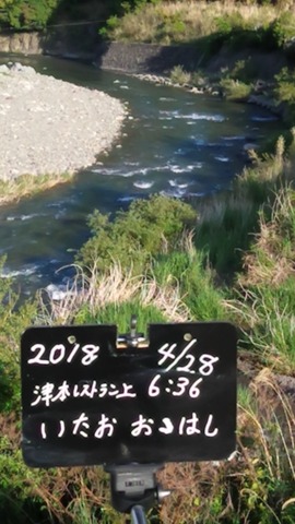 1524951578290