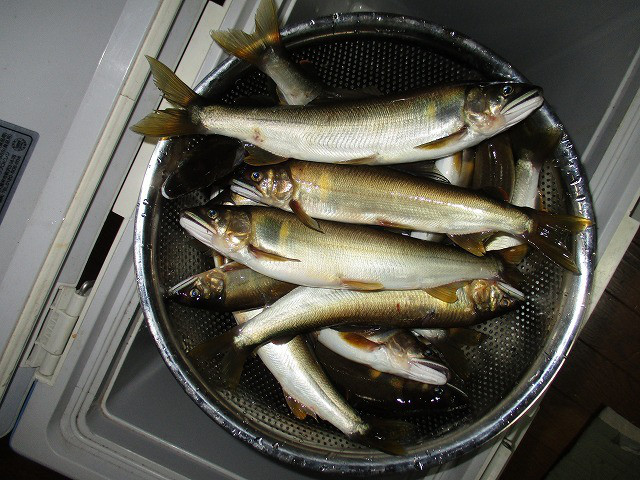 2f8caf6f.jpg