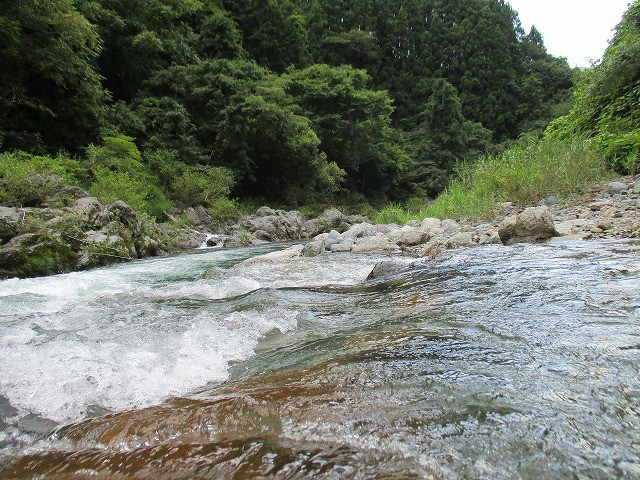 2f967502.jpg