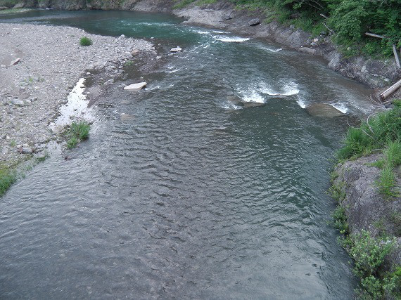 30f67256.jpg