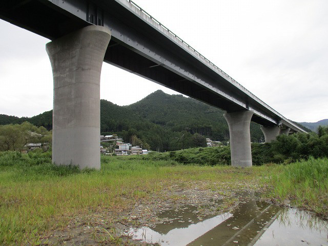 31e67152.jpg