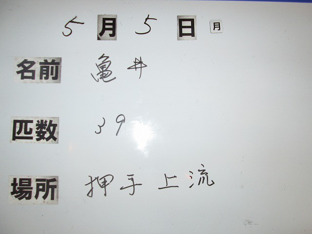 32001be3.jpg