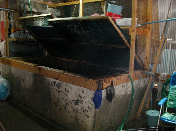 3469c313.jpg