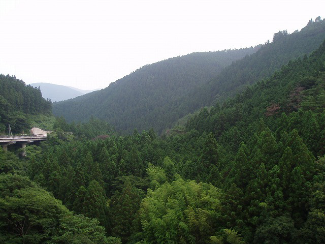 34f536c2.jpg