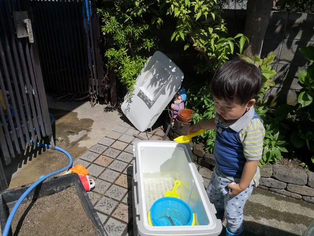 IMG_20200517_135639