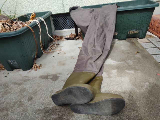 20210313_133618_HDR