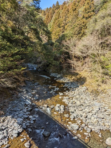 PXL_20230307_050548257(1)