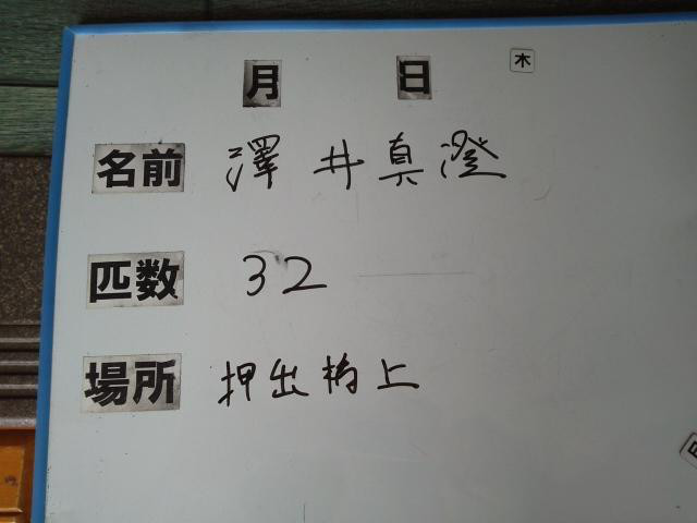 37788acb.jpg