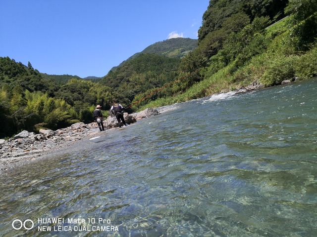 IMG_20200815_114533_BURST001_COVER