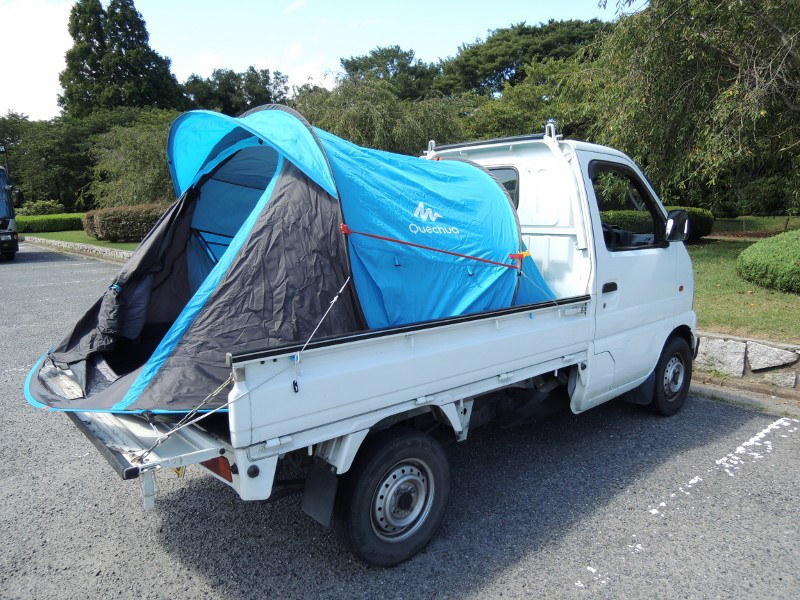 38e50811.jpg