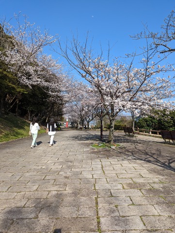 PXL_20230331_062712380