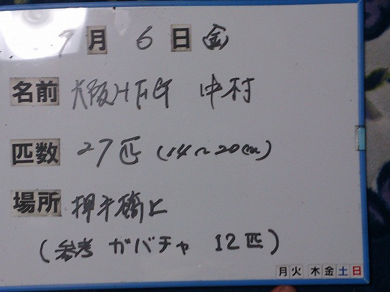39798e9a.jpg