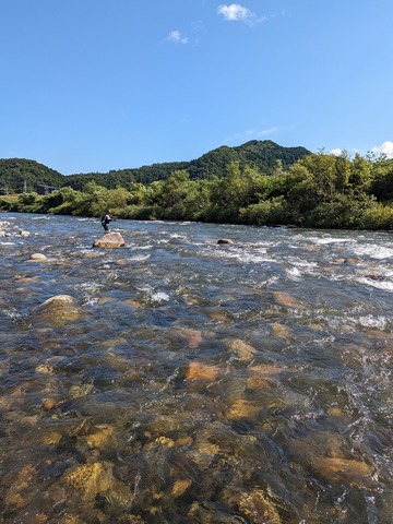 PXL_20240826_003918228.MP