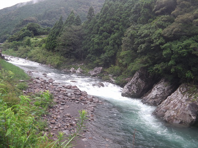 39de59d6.jpg