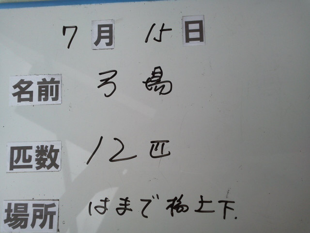 3a95d134.jpg