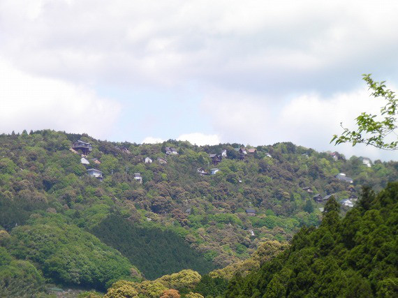 3d470d7f.jpg