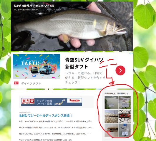 キャプfffチャ