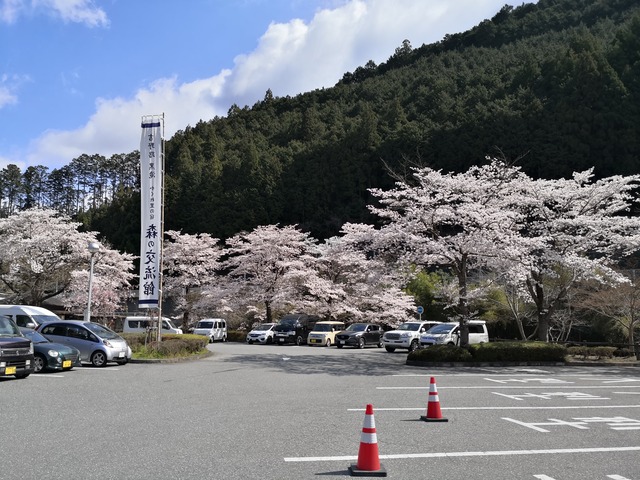 IMG_20200405_095157