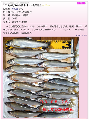 キャプdfチャ